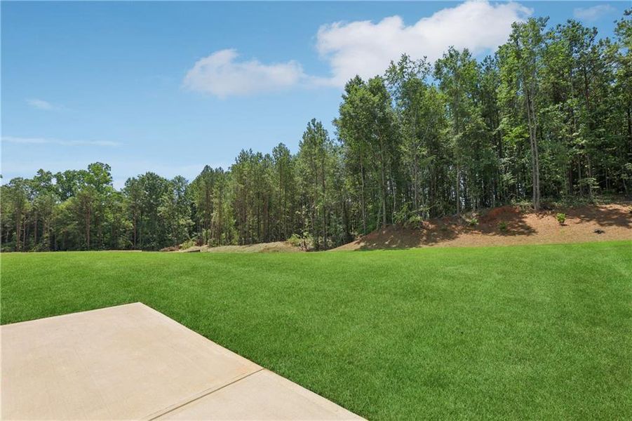 Natural landscape and outdoor views near  in Braselton (Image 132).