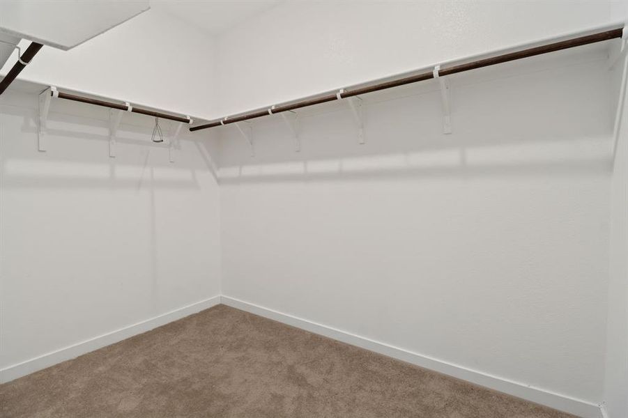 Walk in closet featuring carpet