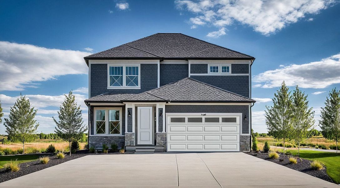 Ash - Prairie Ash - Prairie