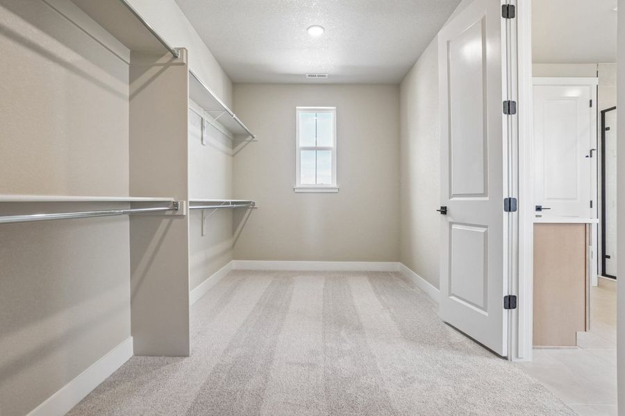 Spacious, unfurnished interior of a new home in Jackson Creek North, Monument (Image 50).