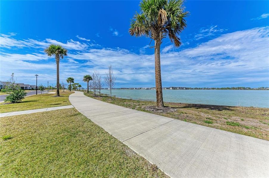 Natural landscape and outdoor views near  in Sarasota (Image 36).