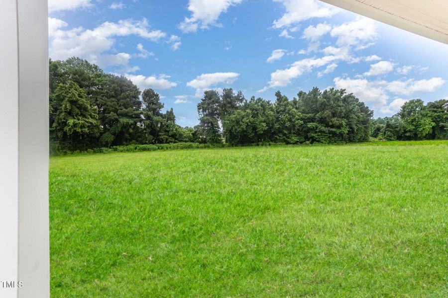 kv0a5057-edit-edit_305 kv0a5057-edit-edit_305