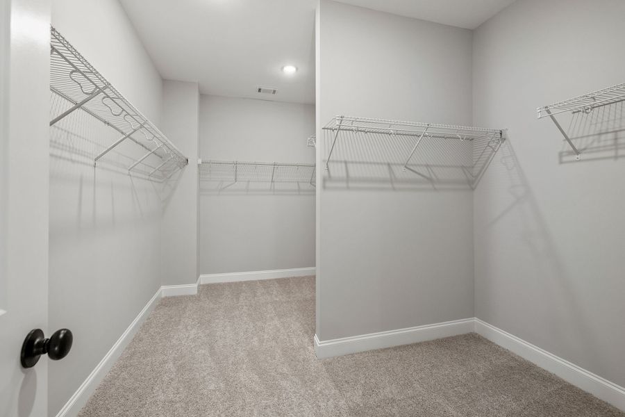 Spacious primary closet with shelving