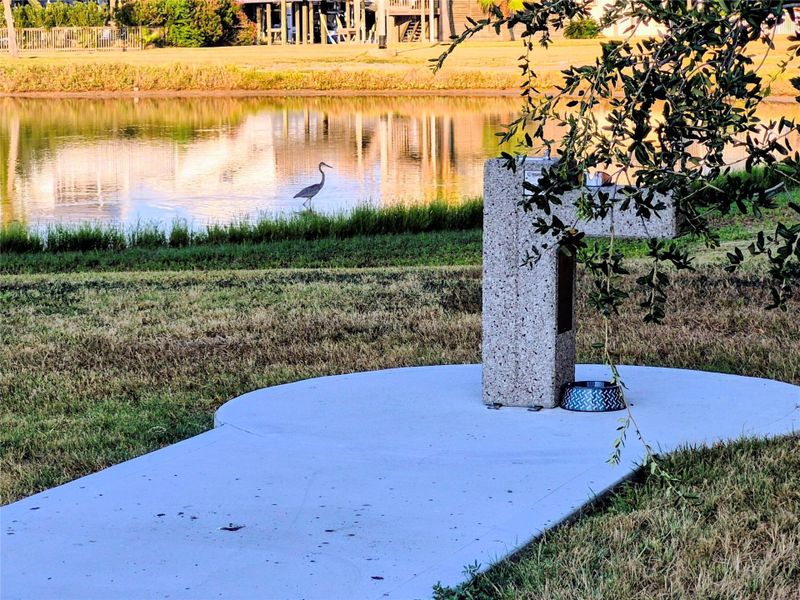 Tiki Island Pet friendly.... New 2 pet watering station put in by our local city officials.