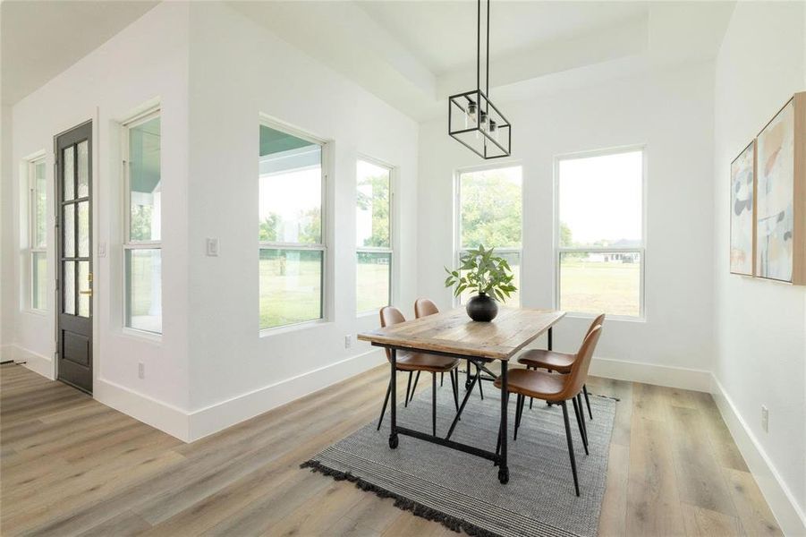 Dining space featuring a tray ceiling, plenty of natural light, and light hardwood / wood-style floors