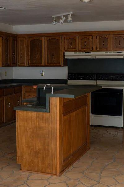Kitchen with a kitchen island with sink, brown cabinetry, black electric range, under cabinet range hood, and track lighting