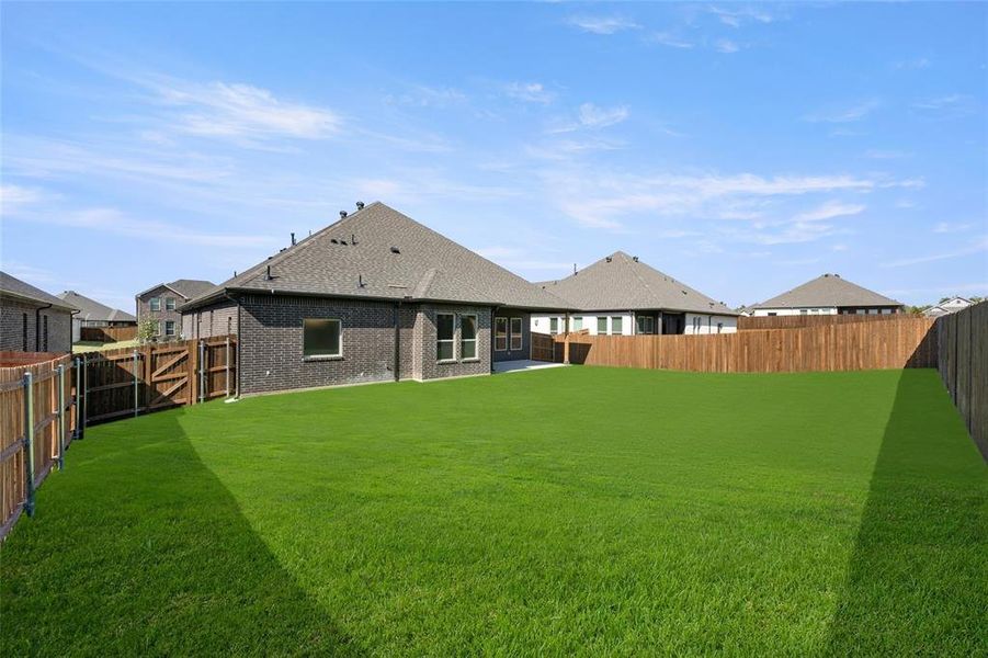 416 Lamb Back1 416 Lamb Back1