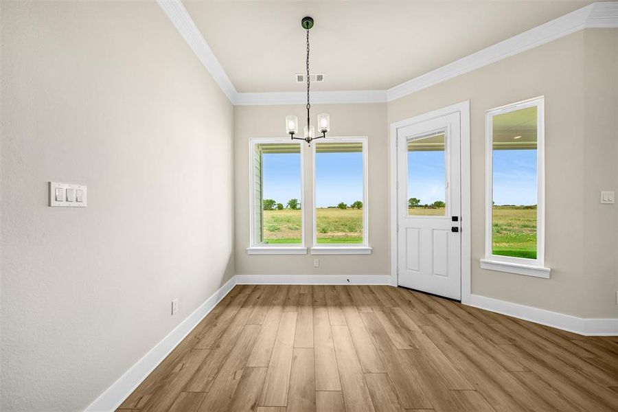 Spacious, unfurnished interior of a new home in Rocky Top, Krum (Image 29).