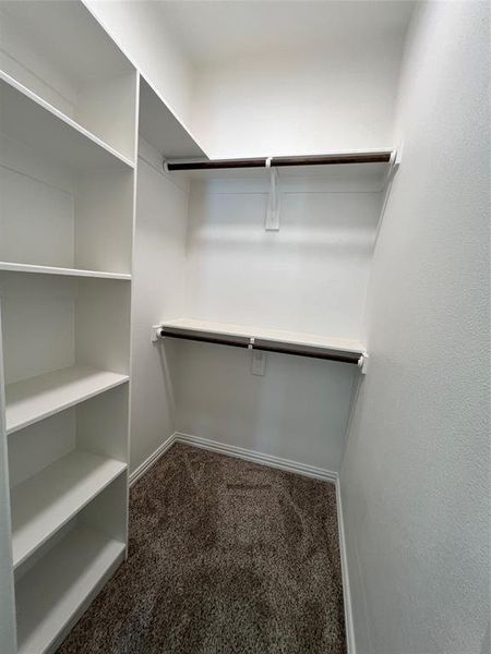 Walk in closet featuring carpet floors