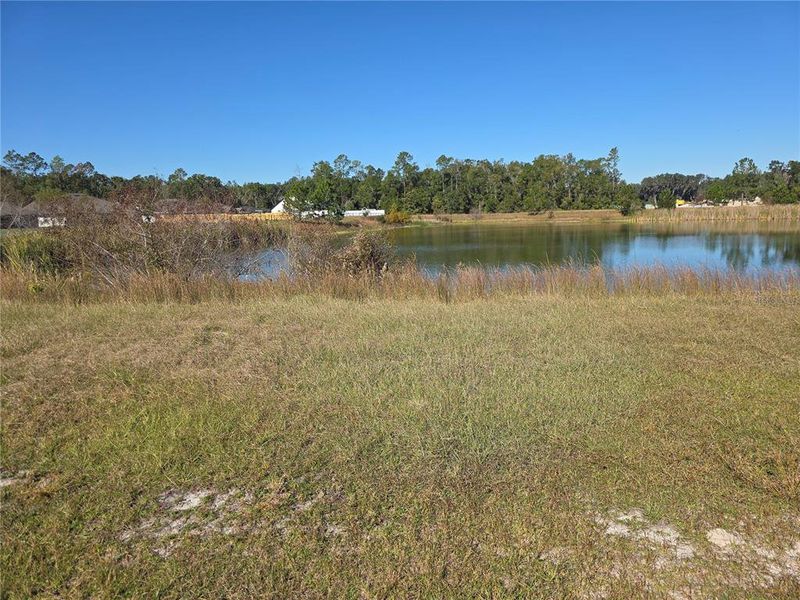 Natural landscape and outdoor views near The Preserve at Laurel Lake in Lake City (Image 82).