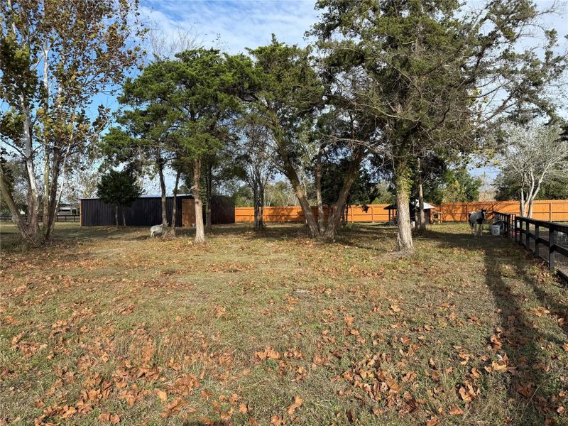Natural landscape and outdoor views near  in Santa Fe (Image 15).