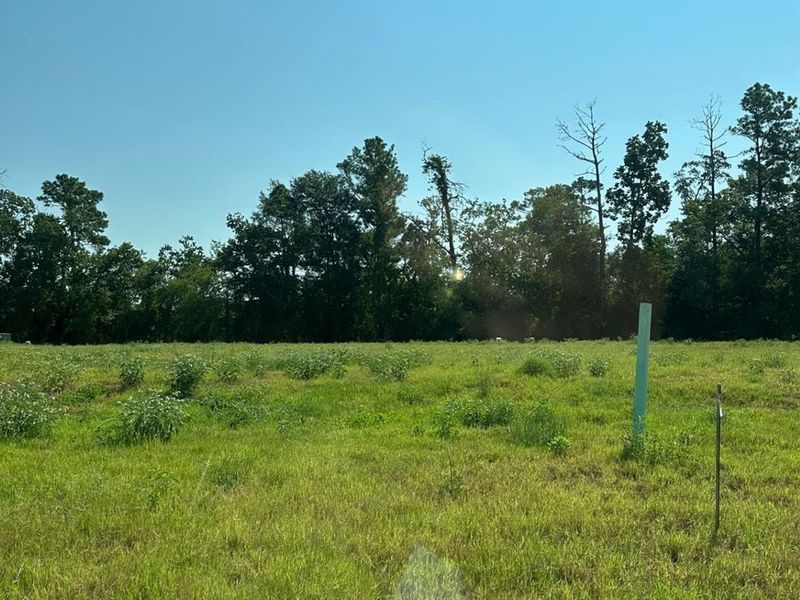 Natural landscape and outdoor views near Sundance Cove in Crosby (Image 4).