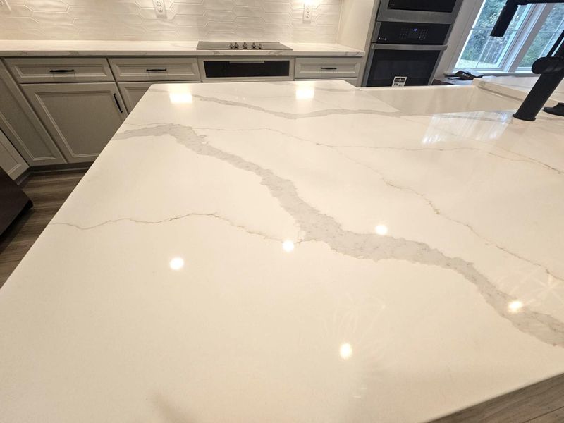 Close-up of interior finishes inside a home in Creekside at Andrews, Summerville (Image 8).