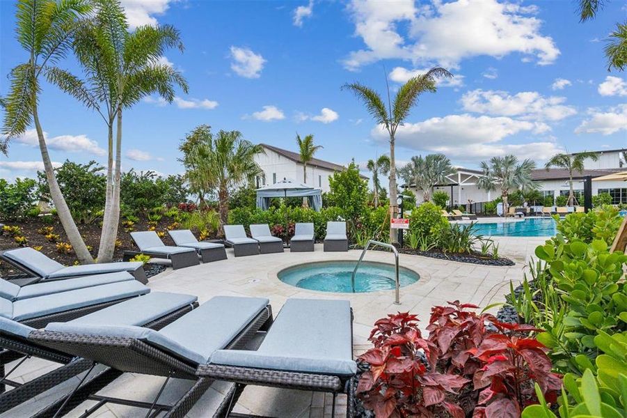Community amenities in Star Farms at Lakewood Ranch, Bradenton (Image 55). Community amenities in Star Farms at Lakewood Ranch, Bradenton (Image 55).