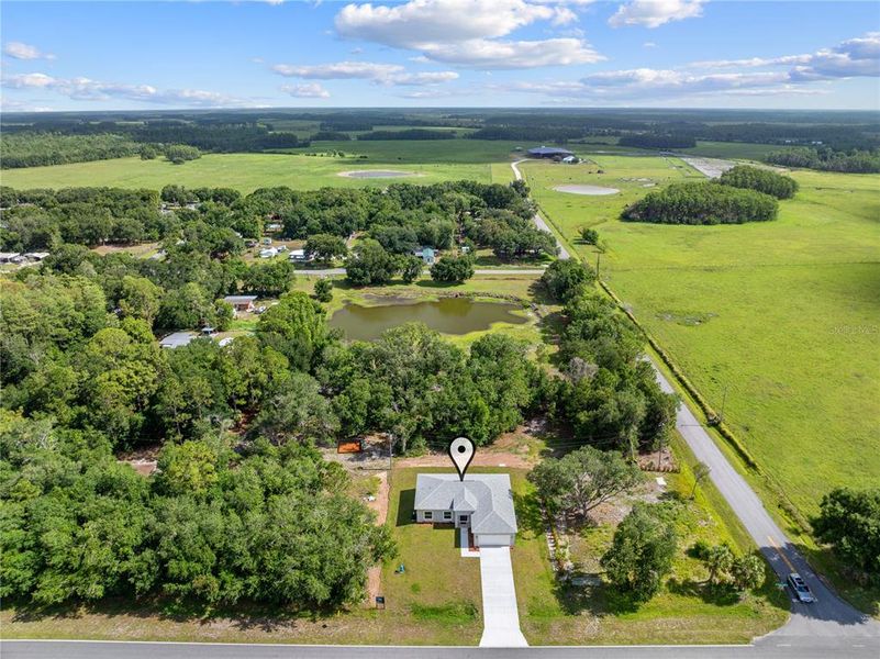 Natural landscape and outdoor views near  in Yeehaw Junction (Image 45).