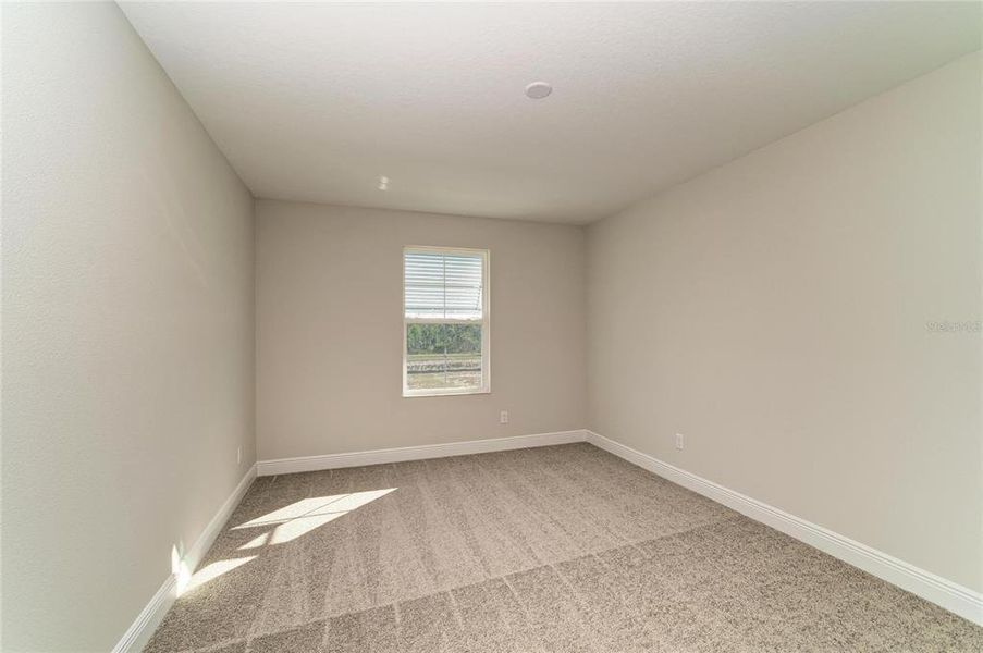 Spacious, unfurnished interior of a new home in Pasadena Woods, Wesley Chapel (Image 44).
