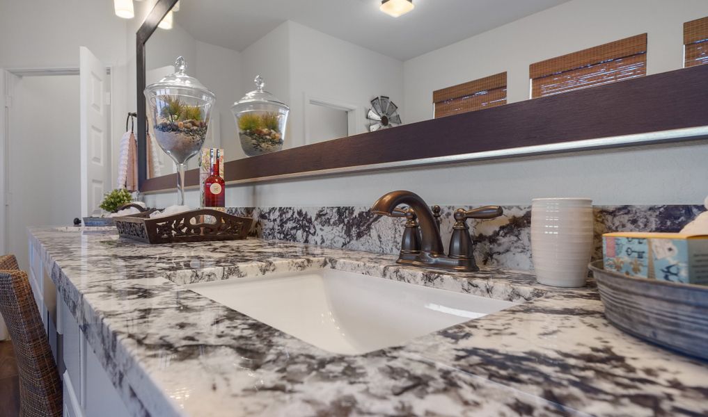 Owner's luxury bath sinks