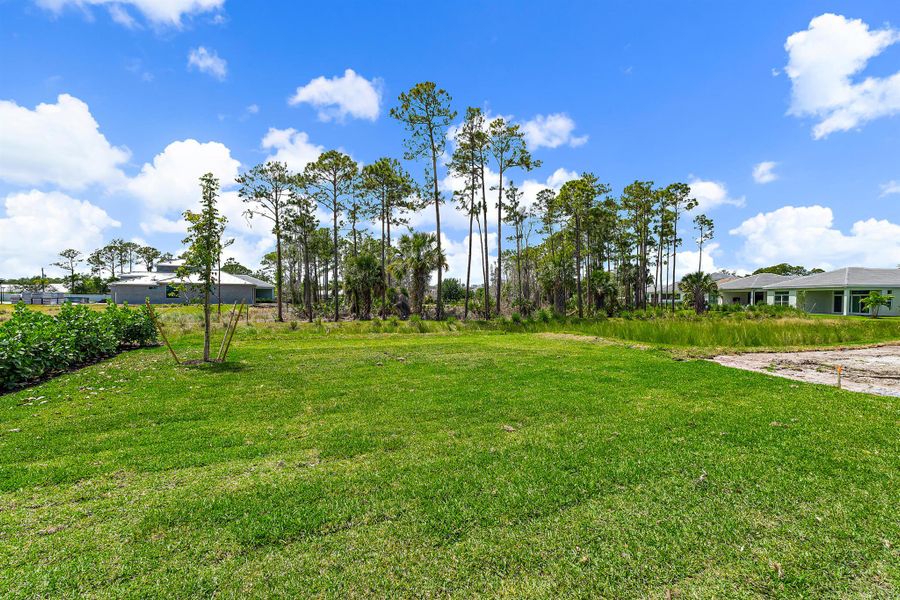 Natural landscape and outdoor views near Cove Royale in Stuart (Image 36).