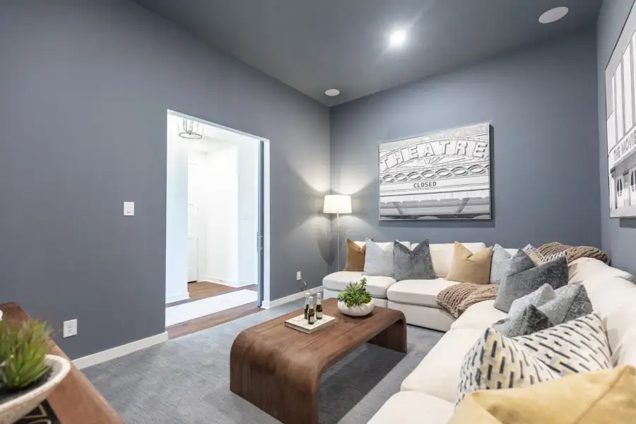 Representative Entertainment Room - some options shown Representative Entertainment Room - some options shown