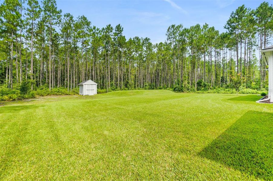 Natural landscape and outdoor views near in St. Augustine (Image 31). Natural landscape and outdoor views near in St. Augustine (Image 31).