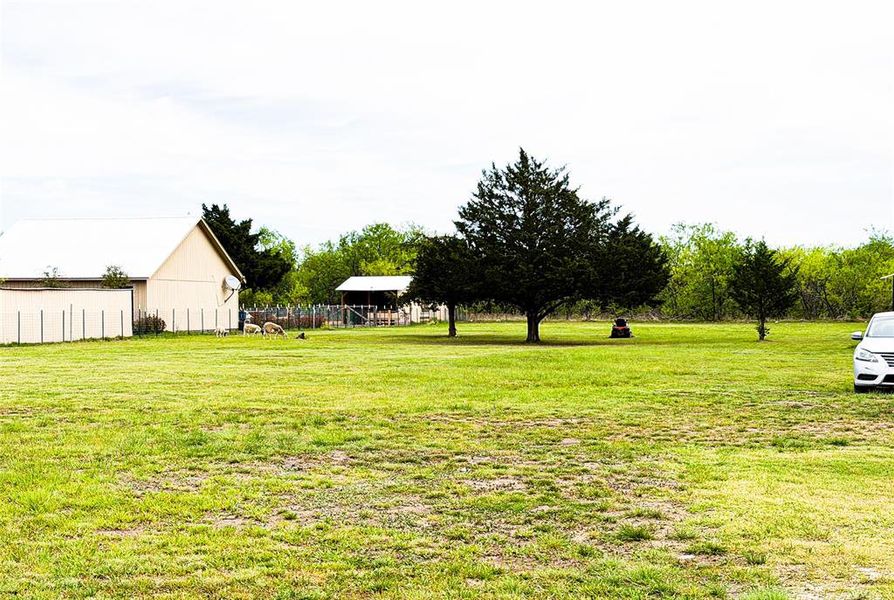 Natural landscape and outdoor views near  in Wortham (Image 25).