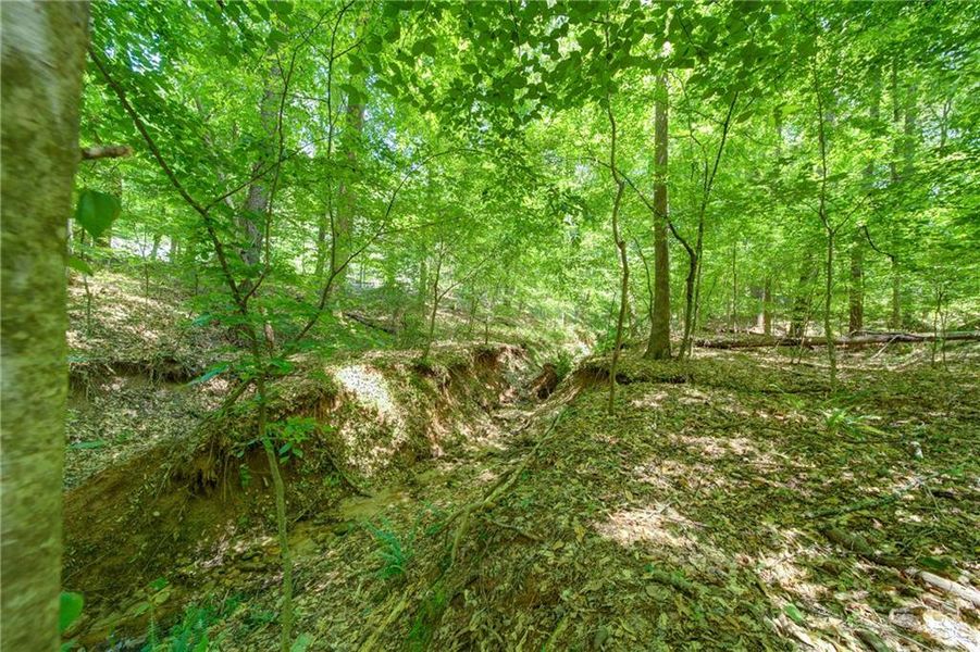 Natural landscape and outdoor views near in Alpharetta (Image 2). Natural landscape and outdoor views near in Alpharetta (Image 2).
