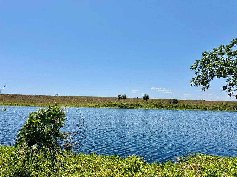 Natural landscape and outdoor views near  in Okeechobee (Image 42).