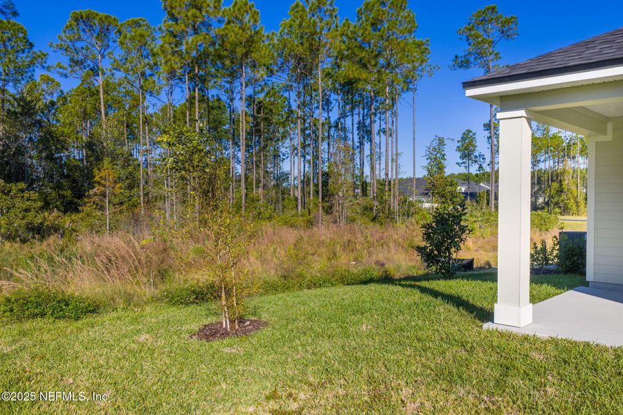 Exterior details and patio area of a home in Beacon Lake, St. Augustine (Image 19).