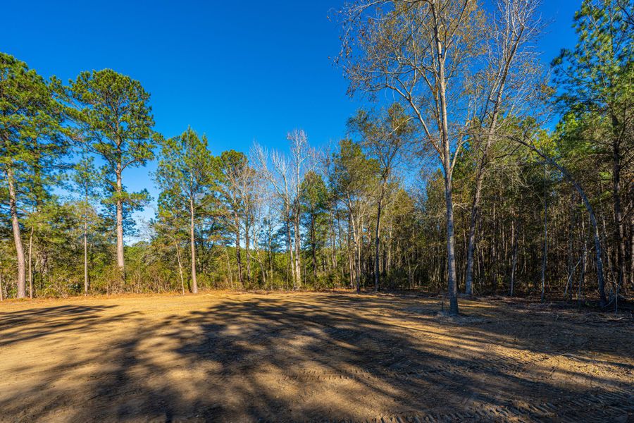 Natural landscape and outdoor views near in St. Stephen (Image 52). Natural landscape and outdoor views near in St. Stephen (Image 52).