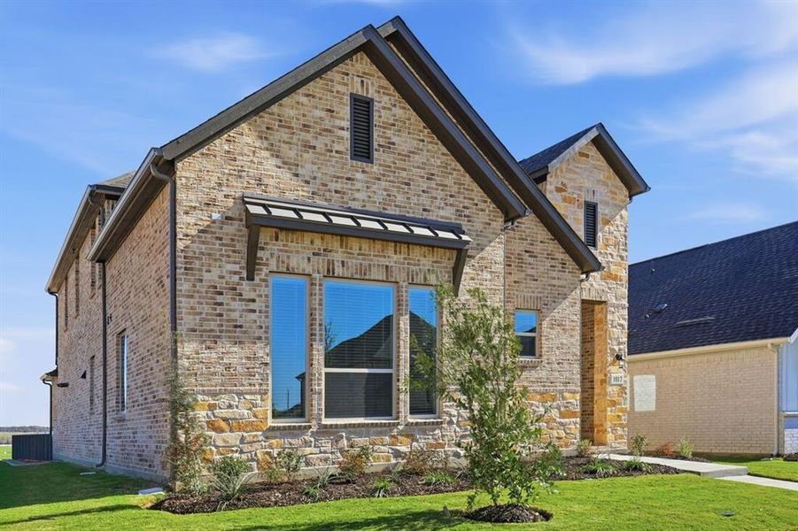 1017 Rainshower ~ Ready Now 1017 Rainshower ~ Ready Now