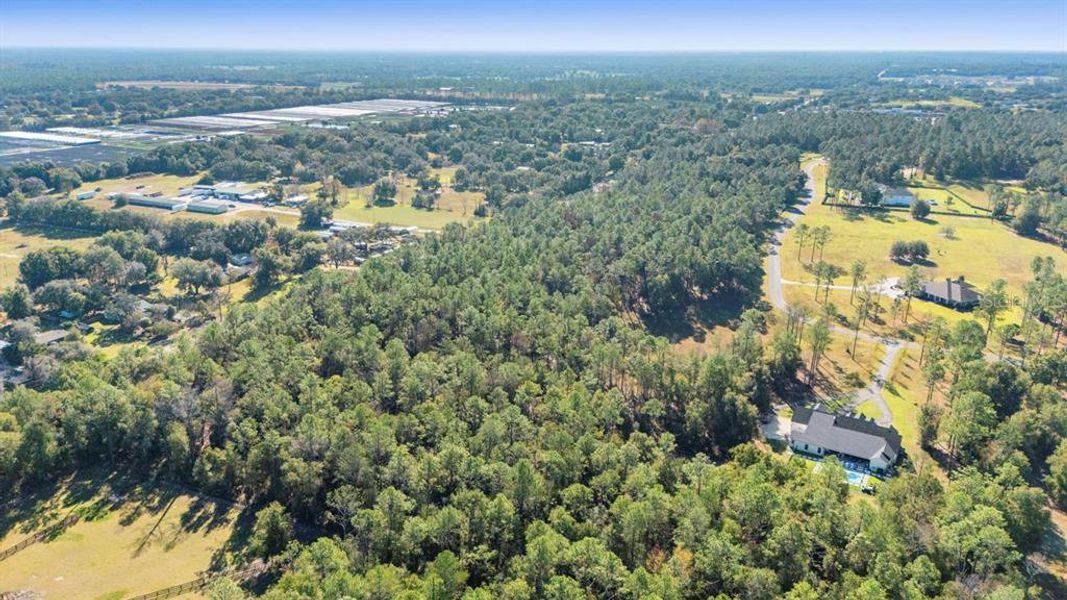 Natural landscape and outdoor views near in Eustis (Image 7). Natural landscape and outdoor views near in Eustis (Image 7).