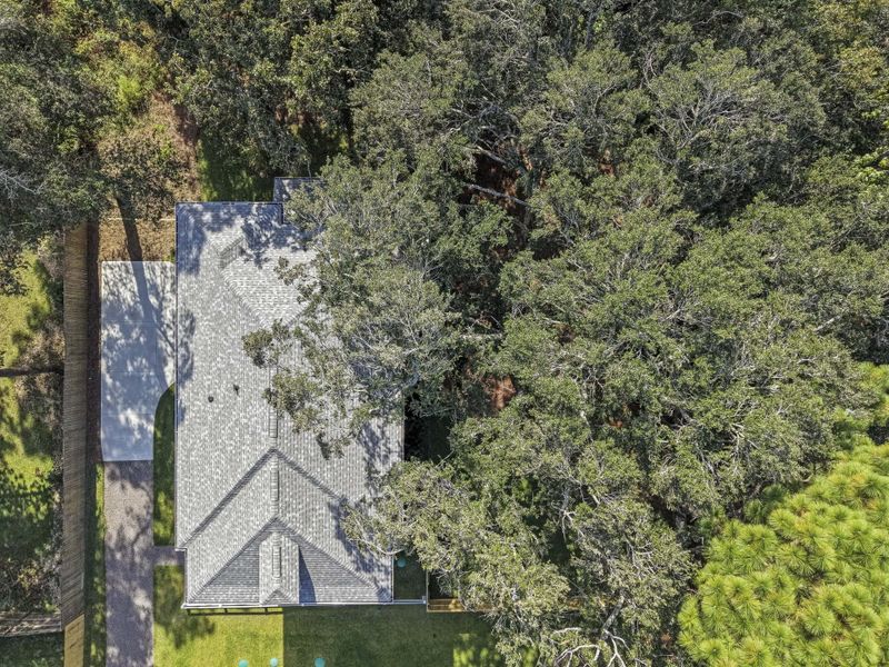 Natural landscape and outdoor views near  in Johns Island (Image 53).