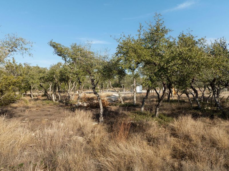 Natural landscape and outdoor views near  in Dripping Springs (Image 19).