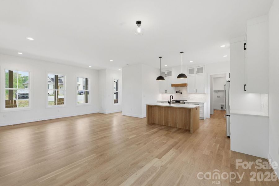 Amazing natural light, open living, dining, and kitchen