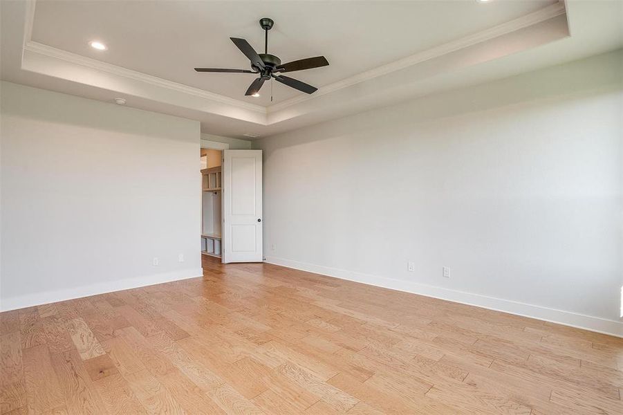 Unfurnished room featuring crown molding, a tray ceiling, and light wood-type flooring