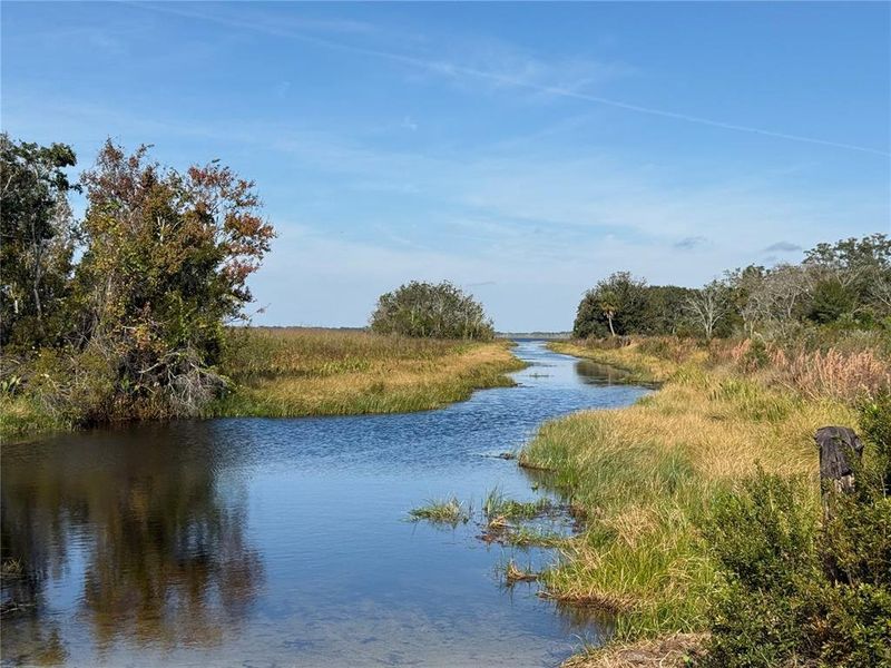 Natural landscape and outdoor views near in Haines City (Image 11). Natural landscape and outdoor views near in Haines City (Image 11).