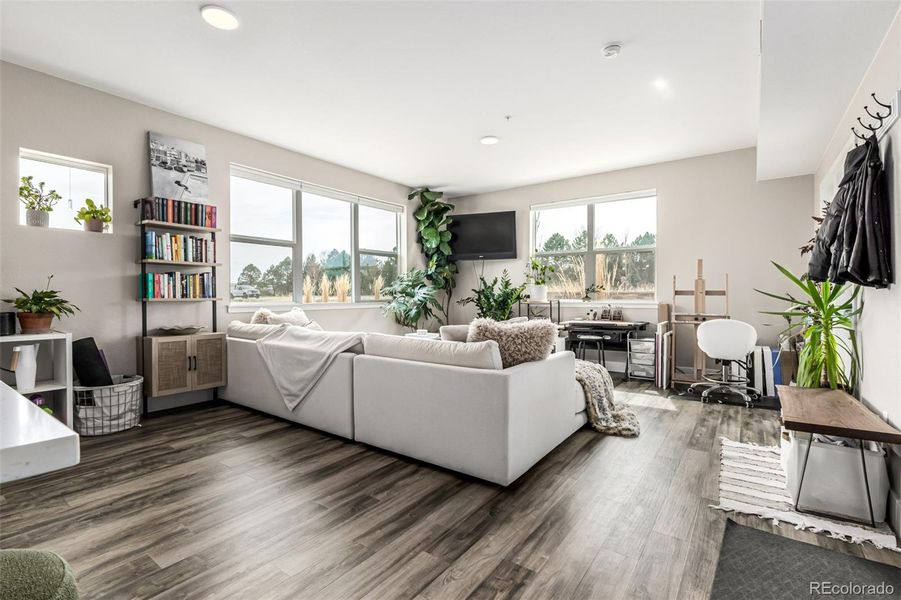 Living room area-- lots of natural light!