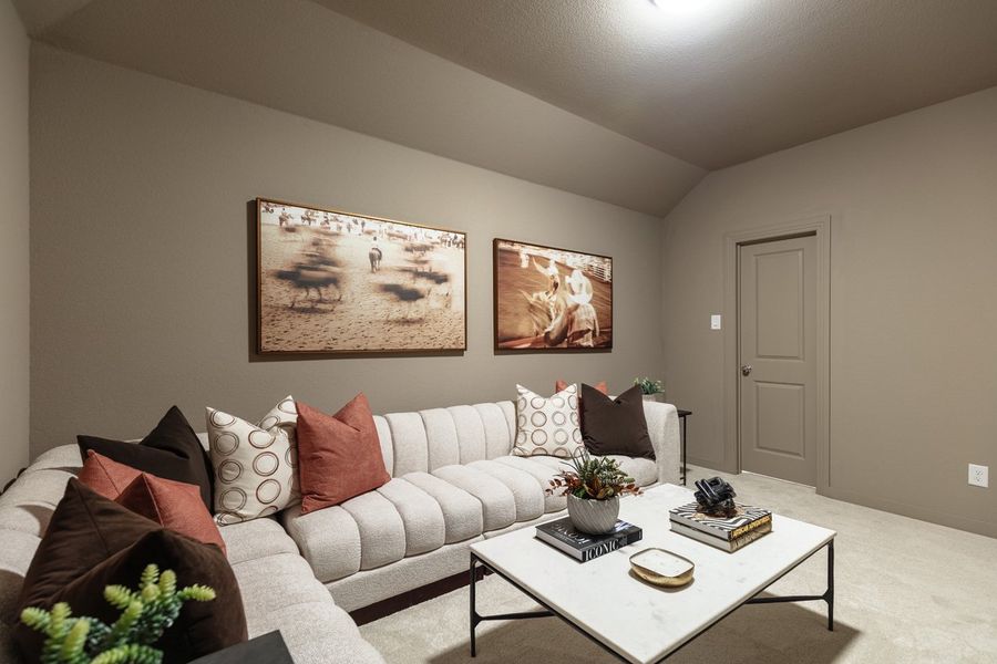 Representative Entertainment Room - some options shown