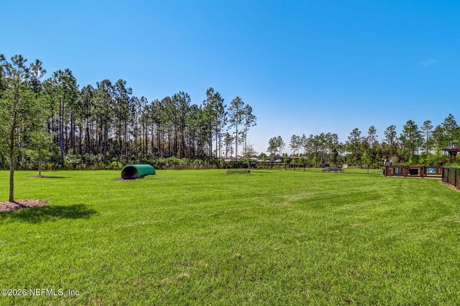 Natural landscape and outdoor views near  in Yulee (Image 109).