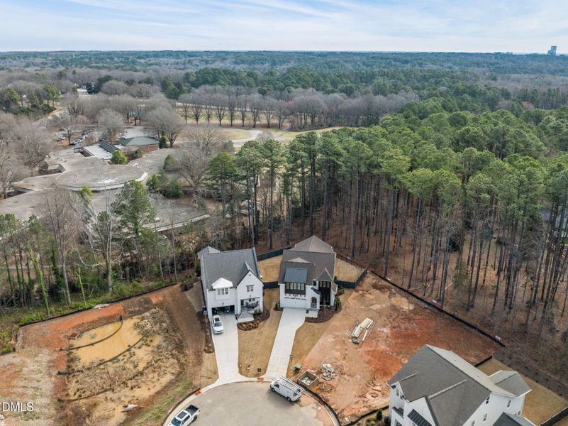 11-web-or-mls-DJI_0273