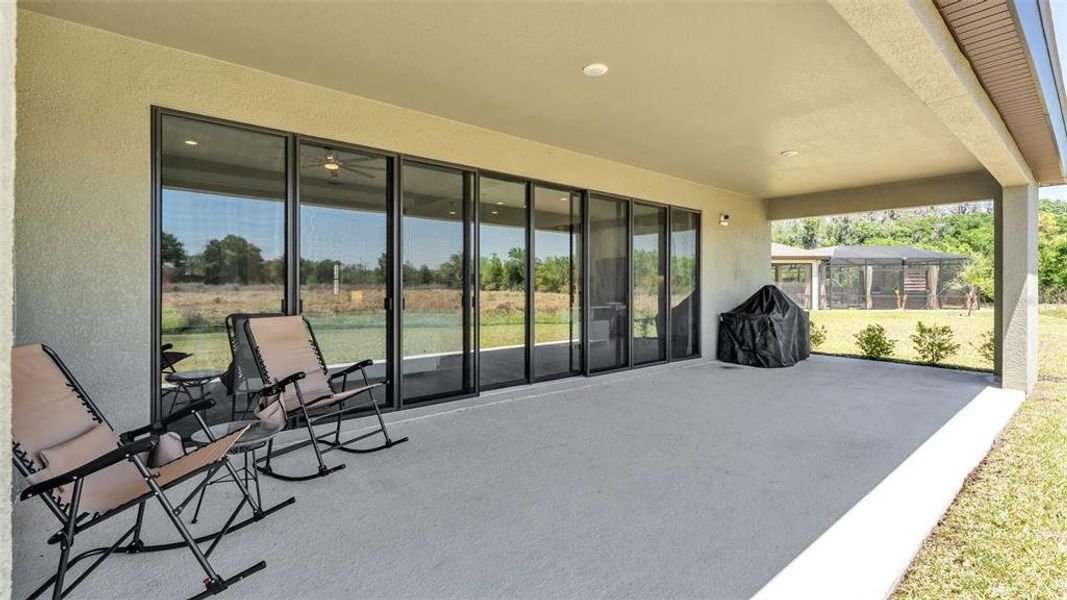 Exterior details and patio area of a home in Hawkstone, Lithia (Image 33).