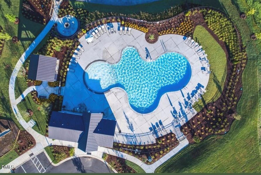 Mews pool overhead shot