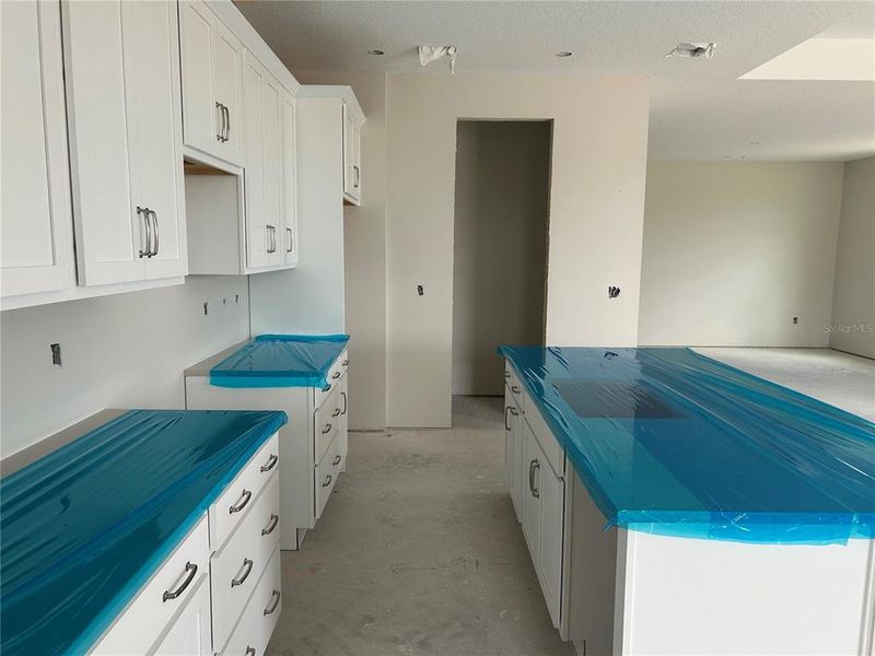 In-progress construction of a new home in Oakfield Trails Traditional, Parrish, FL (Image 26). In-progress construction of a new home in Oakfield Trails Traditional, Parrish, FL (Image 26).