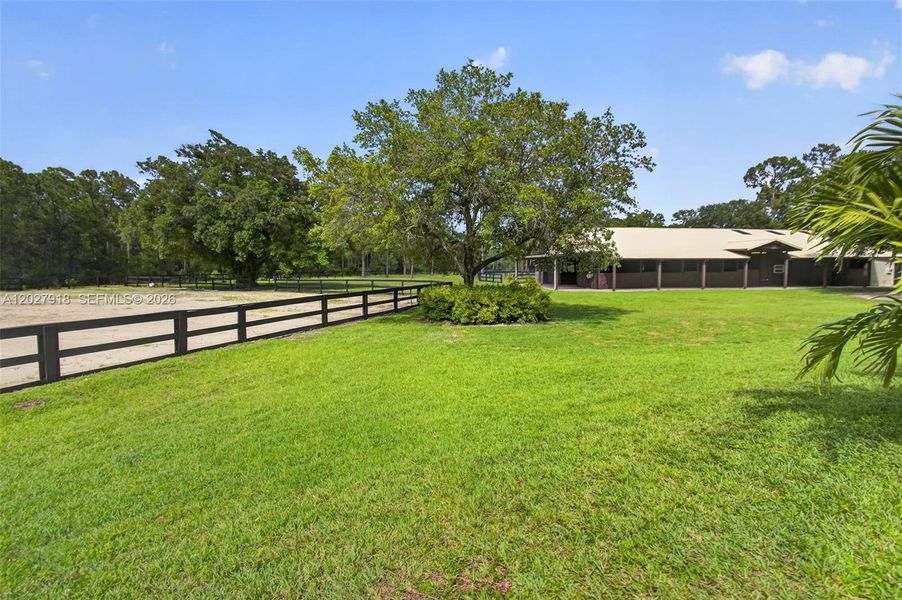 Natural landscape and outdoor views near  in Palm Beach Gardens (Image 92).