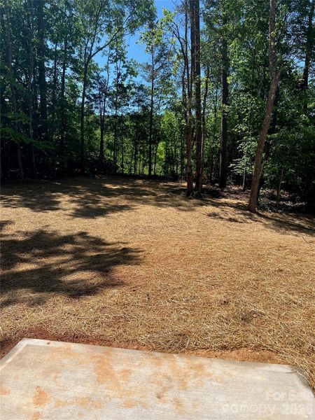 Natural landscape and outdoor views near  in Statesville (Image 18).