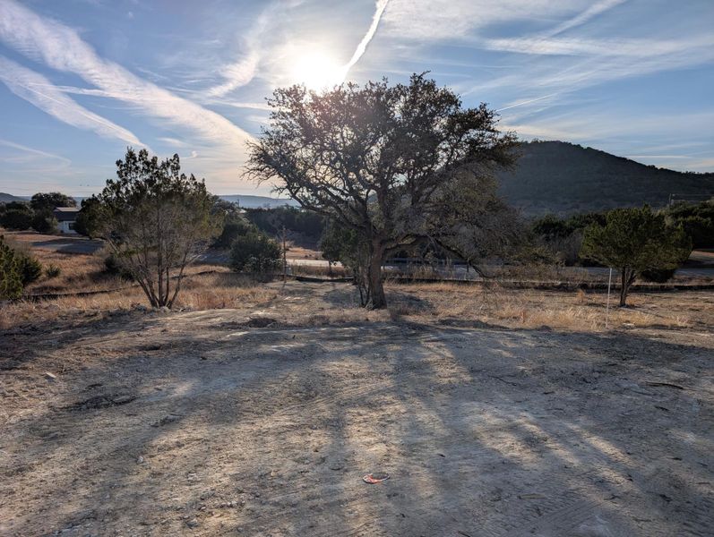 Expansive terrain featuring mature trees and distant hills