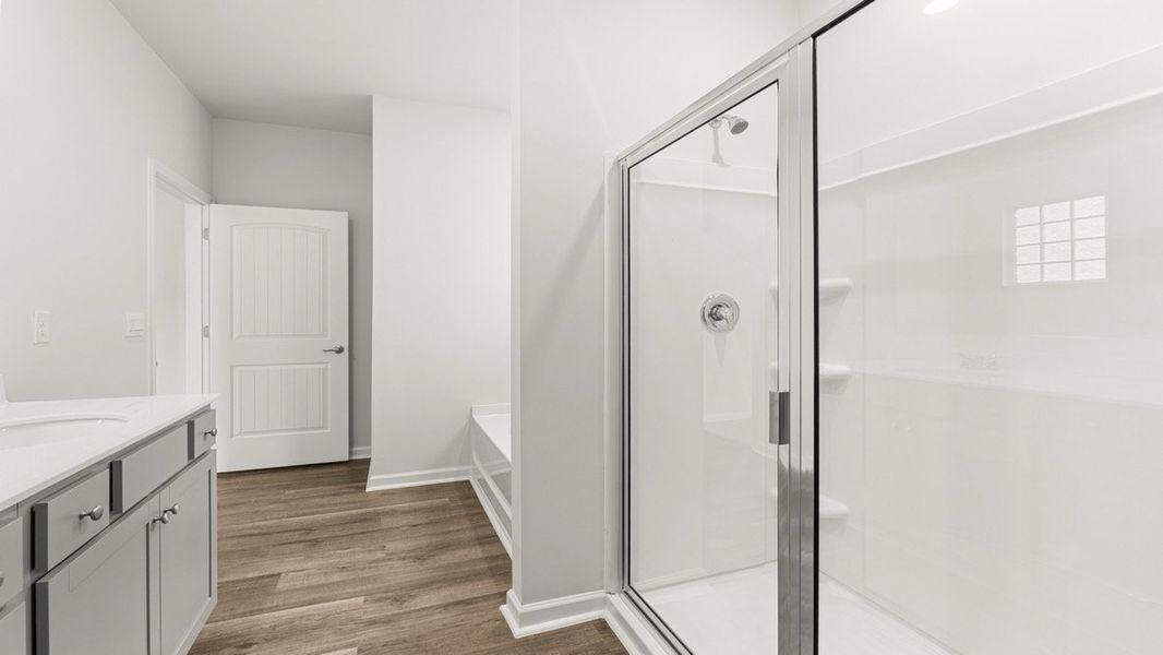 Representative furnished interior of a home built from the Booth by D.R. Horton in Liberty Crossing, Braselton (Image 13).