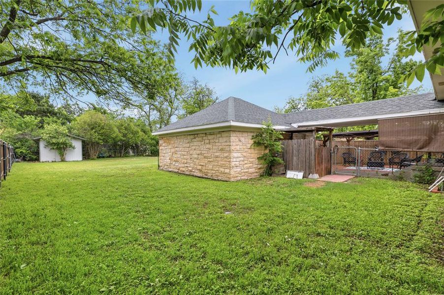 Expansive green lawn with a privacy fence Expansive green lawn with a privacy fence