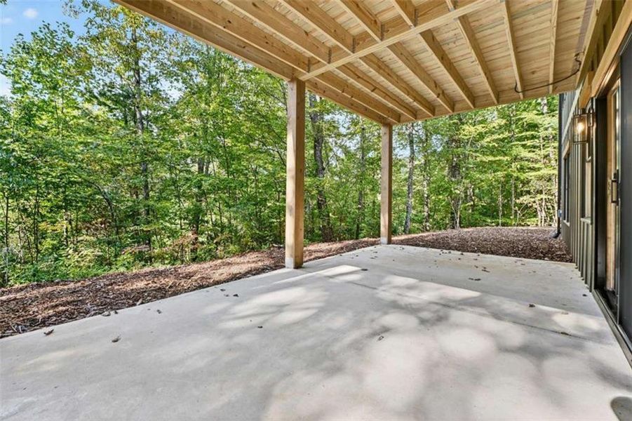 Exterior details and patio area of a home in , Blue Ridge (Image 19).