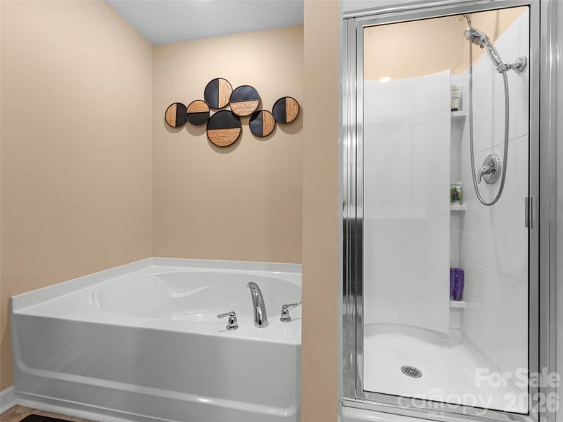 Ensuite w/ soaking tub and shower